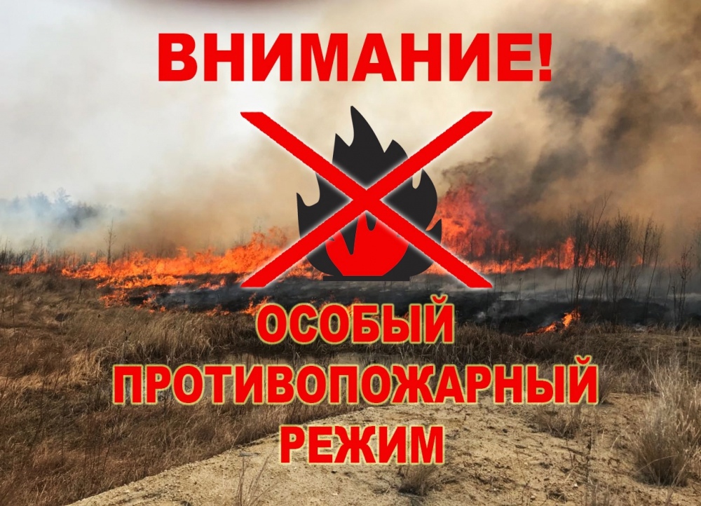Об установлении особого противопожарного режима в лесах на территории Республики Коми.